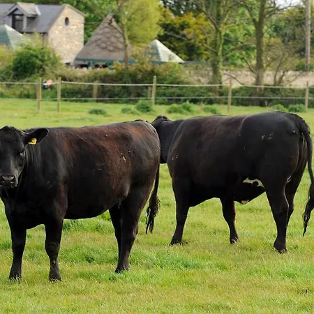 农家乐 Mill Road Farm Cottages