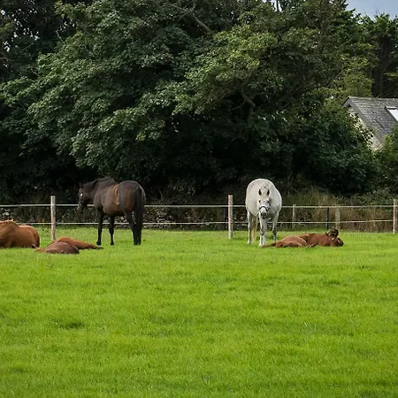 Mill Road Farm Cottages